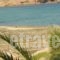 Ftelia View_best deals_Hotel_Cyclades Islands_Mykonos_Ornos