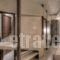 Harbor Suites_best prices_in_Hotel_Central Greece_Attica_Piraeus