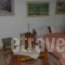 Elati Apartments_best prices_in_Apartment_Thessaly_Trikala_Elati