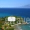 Paradisso Beach Villas_lowest prices_in_Villa_Ionian Islands_Zakinthos_Alykes