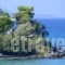 Paradisso Beach Villas_accommodation_in_Villa_Ionian Islands_Zakinthos_Alykes