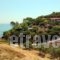 Celia Apartments_best prices_in_Apartment_Ionian Islands_Zakinthos_Zakinthos Chora