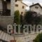 Abelos Stone Houses_best prices_in_Hotel_Peloponesse_Arcadia_Astros