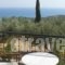 Apsedes Studios_accommodation_in_Hotel_Ionian Islands_Kefalonia_Kefalonia'st Areas