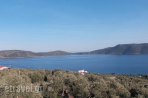 Mourtero House_holidays_in_Hotel_Sporades Islands_Skopelos_Stafylos