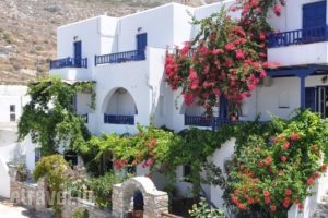 Nostos Studios_accommodation_in_Hotel_Cyclades Islands_Amorgos_Amorgos Chora