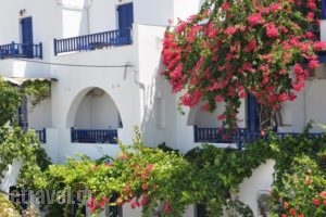 Nostos Studios_holidays_in_Hotel_Cyclades Islands_Amorgos_Amorgos Chora