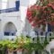 Nostos Studios_holidays_in_Hotel_Cyclades Islands_Amorgos_Amorgos Chora