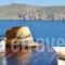 Villas Kappas_best prices_in_Villa_Cyclades Islands_Mykonos_Tourlos