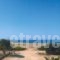 Gold Sand_holidays_in_Hotel_Cyclades Islands_Naxos_Naxos Chora
