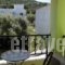 Aktaion II - Luxury Maisonettes and Rooms_holidays_in_Room_Piraeus Islands - Trizonia_Agistri_Agistri Chora
