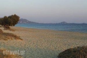 Acti Plaka Hotel_lowest prices_in_Hotel_Cyclades Islands_Naxos_Naxos Chora