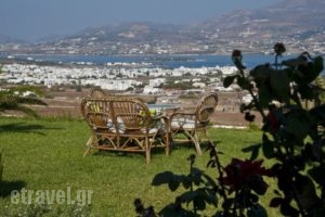 Antiparos View_best prices_in_Hotel_Cyclades Islands_Antiparos_Antiparos Chora