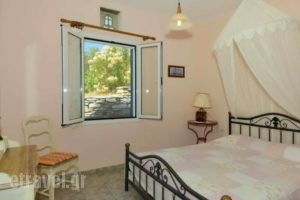 Albatross Holiday Apartments_holidays_in_Apartment_Cyclades Islands_Syros_Vari