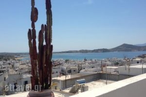 Mama'S Rooms_best deals_Room_Cyclades Islands_Naxos_Naxos chora