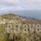 Ria Rooms_best deals_Room_Thessaly_Magnesia_Agios Lavrendios