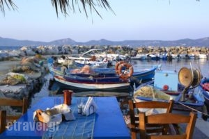 Aeolis Apartments & Studios_best prices_in_Apartment_Aegean Islands_Lesvos_Agios Isidoros