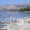 Camping Argostoli_best prices_in_Hotel_Ionian Islands_Kefalonia_Kefalonia'st Areas