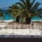 Elli Studios_lowest prices_in_Hotel_Cyclades Islands_Naxos_Agia Anna