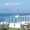 Agnadi Studios_best deals_Hotel_Piraeus Islands - Trizonia_Kithira_Kithira Chora