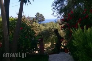 Bozikis Apartments & Studios_travel_packages_in_Ionian Islands_Corfu_Palaeokastritsa