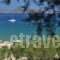 Hotel Senia_travel_packages_in_Cyclades Islands_Paros_Paros Chora