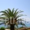Pelagos Apartments_accommodation_in_Apartment_Ionian Islands_Corfu_Corfu Rest Areas