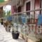 Athina Studios_lowest prices_in_Hotel_Ionian Islands_Zakinthos_Zakinthos Rest Areas