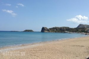 Delfini Beach Hotel_lowest prices_in_Hotel_Dodekanessos Islands_Rhodes_Stegna