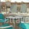 Anna Maria Hotel_best deals_Hotel_Crete_Chania_Platanias