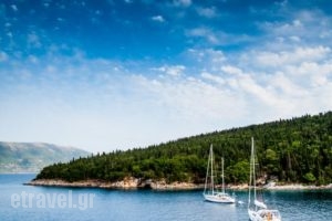 Alexia Ferentinou_holidays_in_Hotel_Ionian Islands_Kefalonia_Lixouri