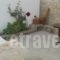 Villa Mina_travel_packages_in_Cyclades Islands_Milos_Adamas