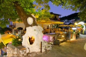 Thassos Inn_holidays_in_Hotel_Aegean Islands_Thasos_Thasos Chora