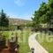 Villa Karteros_lowest prices_in_Villa_Crete_Heraklion_Heraklion City