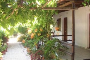 Caviri_holidays_in_Hotel_Cyclades Islands_Syros_Galissas