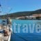Nontas Hotel_best deals_Hotel_Piraeus islands - Trizonia_Aigina_Aigina Rest Areas