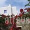 Tagoo Studios_holidays_in_Hotel_Cyclades Islands_Mykonos_Mykonos Chora