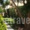 Villa Belmar_lowest prices_in_Villa_Central Greece_Evia_Eretria