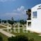 Byron Apartments_holidays_in_Apartment_Dodekanessos Islands_Kos_Kos Rest Areas