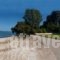 Matina'S Residence_best deals_Hotel_Ionian Islands_Lefkada_Lefkada's t Areas