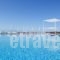 Dimitra Beach Resort_holidays_in_Hotel_Dodekanessos Islands_Kos_Kos Rest Areas