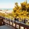 Vasilaras Hotel_best prices_in_Hotel_Piraeus islands - Trizonia_Aigina_Aigina Rest Areas