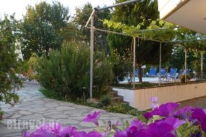 Villa Thassos Paradise_lowest prices_in_Villa_Aegean Islands_Thasos_Thasos Chora