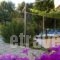 Villa Thassos Paradise_lowest prices_in_Villa_Aegean Islands_Thasos_Thasos Chora