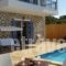 Alseides Villas_best deals_Villa_Ionian Islands_Lefkada_Lefkada's t Areas