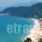 Villa Oscar_accommodation_in_Villa_Ionian Islands_Paxi_Paxi Chora