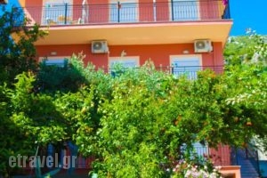 Studios Ristas 2_best prices_in_Hotel_Epirus_Preveza_Parga