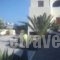 Marina's Studios_lowest prices_in_Hotel_Cyclades Islands_Sandorini_Fira