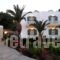 Filoxenia Studios_lowest prices_in_Hotel_Dodekanessos Islands_Leros_Leros Chora