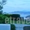 Dream View Hotel_best deals_Hotel_Cyclades Islands_Paros_Paros Chora